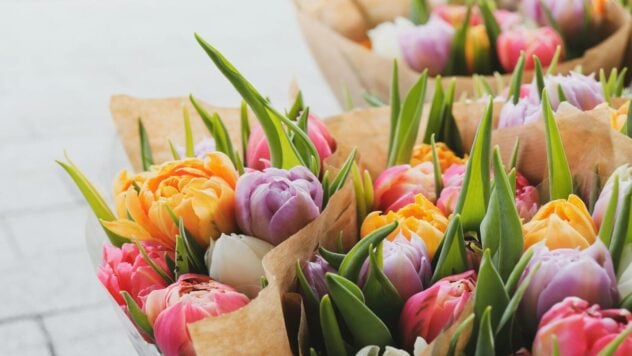 Wie viel kosten Tulpen in der Ukraine im Jahr 2024: Blumenpreise nach Regionen