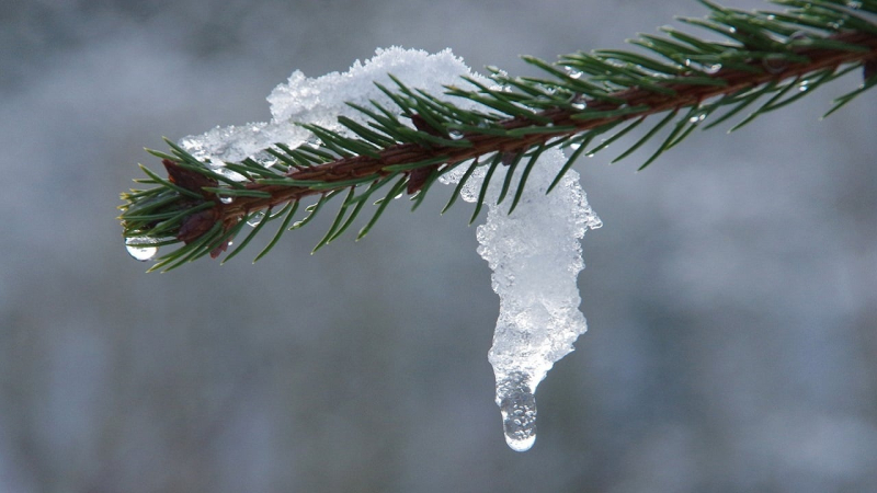 Überhaupt kein Februarwetter: Wettervorhersage für eine Woche in der Ukraine