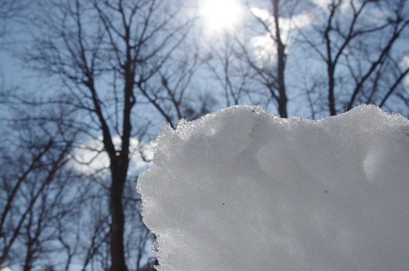 Überhaupt kein Februarwetter: Wettervorhersage in der Ukraine für einen Woche