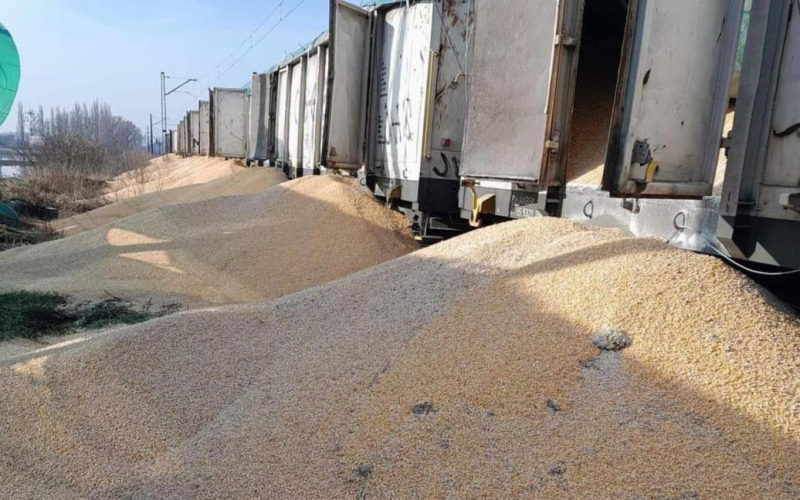 In Polen kommt es wieder zu Sabotage: Ukrainischer Mais wurde auf den Boden geschüttet - Details, Fotos