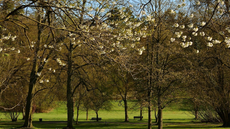 Stellenweise mit Regen, aber sehr warm: Wettervorhersage in der Ukraine für April