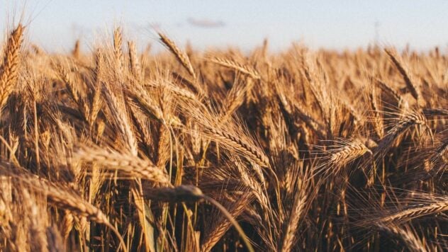 Wie und wo Russland ukrainisches Getreide aus den besetzten Gebieten verkauft – Untersuchung