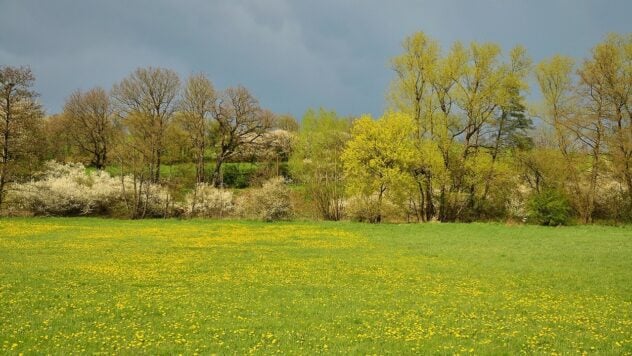 Ortweise mit Regen, aber sehr warm: Wettervorhersage in der Ukraine für April