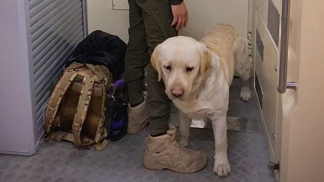 Ein Soldat mit einem Diensthund durfte nicht in den Zug: Einzelheiten des Vorfalls