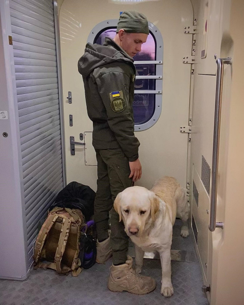 Ein Soldat mit einem Labrador-Diensthund durfte nicht in den Zug: Einzelheiten des Vorfalls