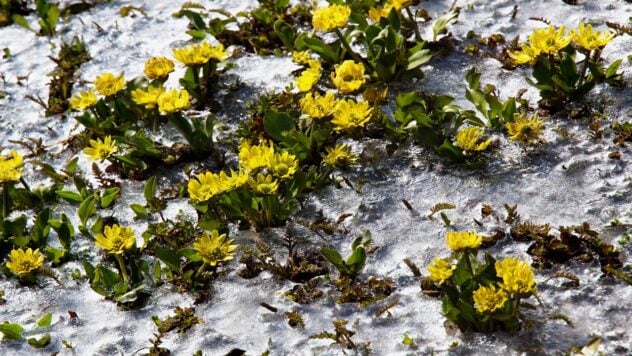 Das nasse Wetter hält weiterhin an: Wann wird es in der Ukraine wärmer