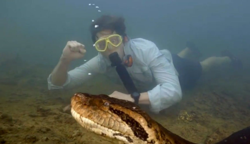 Die größte Schlange der Welt wurde von Jägern getötet: So sah sie aus (Foto, Video)“ /></p>
<p>Als Professor Vonk die Nachricht von Ana Julias Tod hörte, sagte er, er sei „verärgert und wütend“ und nannte die Jäger, die sie getötet hatten, „krank“.</p>
<p>Ana Julia wurde am 24. März tot im Fluss Formoso im ländlichen Bonito im Süden Brasiliens aufgefunden.</p>
<p>Laut Wildlife-Direktor Christian Dimitris handelt es sich bei der toten Schlange um dieselbe Schlange, die auf dem Video von Wonk beim Schwimmen gefilmt wurde ihr.</p>
<blockquote class=