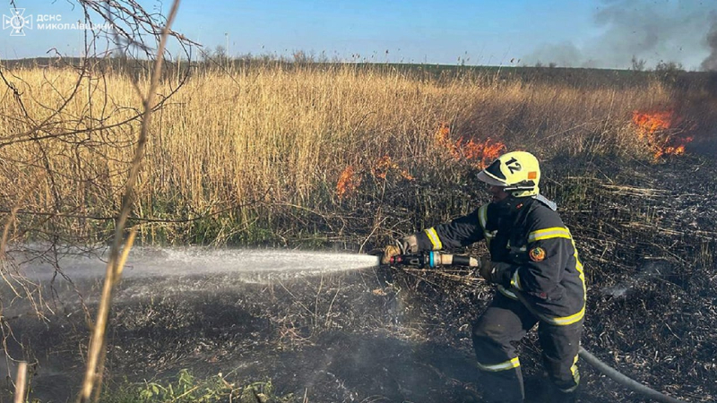 Die durchschnittliche monatliche Temperatur wird steigen: Prognostiker über mögliche Brandgefahr im Sommer