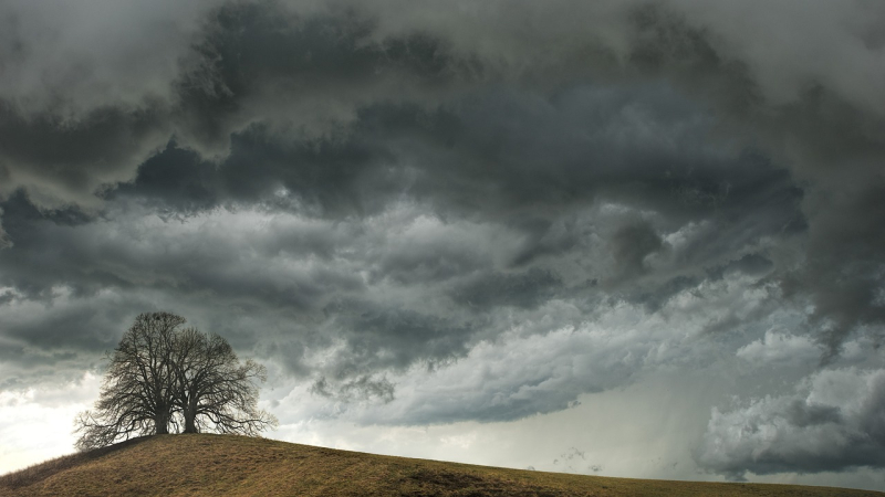 Niedrigere Temperaturen und Regen: Wie wird das Wetter nächste Woche in der Ukraine sein