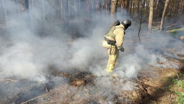 Die durchschnittliche monatliche Temperatur wird steigen: Prognostiker über mögliche Brandgefahr im Sommer