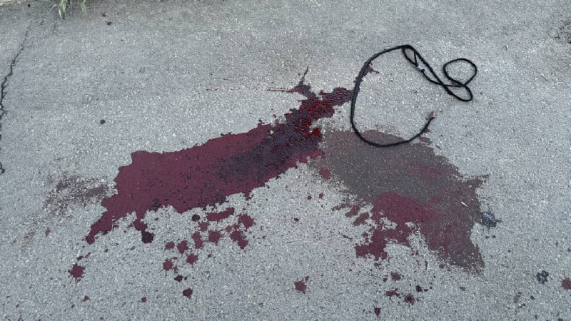 Explosionen in Odessa am 29. April: Die Zahl der Todesfälle stiegen auf fünf“ /> </p>
<p>Trukhanov</p>
<p><img decoding=