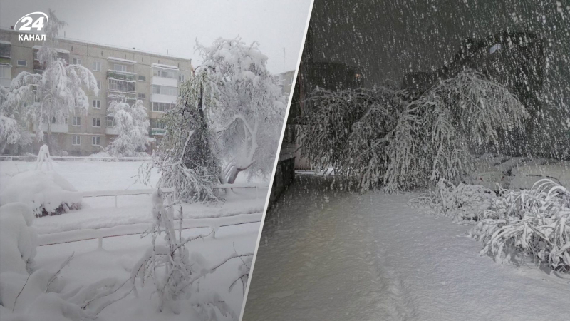 Die wahre Rache der Natur: Russland nach Überschwemmungen und Brände, bedeckt mit heftigen Schneefällen“ /></p>
<p>Russland ist mit Schnee bedeckt/Collage 24 Channel</p>
<p _ngcontent-sc90 class=