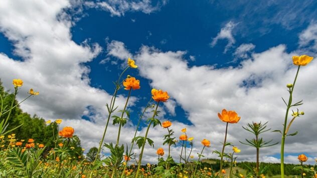 Der Sommer beginnt mit Regen: So wird das Wetter Anfang Juni sein