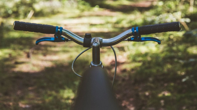 Was Sie wählen sollten: ein normales Fahrrad oder ein Elektrofahrrad