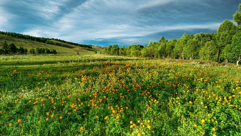 Der Sommer beginnt mit Regen: Was zum Teufel Das Wetter wird wie Anfang Juni sein Orte in der Nacht und tagsüber. Keine Niederschläge in den südöstlichen Regionen.</p>
<p><strong>Temperatur:</strong></p>
<ul>
<li>nachts +13-19 °C;</li>
<li>in westliche Regionen +10-15 °C;</li>
<li>tagsüber +23-29 °C;</li>
<li>im Süden und Osten der Ukraine bis zu +32 °C;</li >
<li>im Westen, am 5. Juni und in den nördlichen Regionen +20–26 °C.</li>
</ul>
<h2>Vorhersage für den 6.–10. Juni</h2>
<p>Instabiles Wetter wird im größten Teil der Ukraine erwartet: Stellenweise Regen und Gewitter. In den südlichen Regionen sowie vom 6. bis 8. Juni und in den östlichen Regionen und auf der Krim vom 6. bis 8. Juni gibt es keinen Niederschlag.</p>
<p>Nachttemperatur +13-19 °C, während der Tag +23-29 °C; im Süden und Osten des Landes +17-23 °C nachts, +30-34 °C tagsüber.</p>
</p></p>
<!-- relpost-thumb-wrapper --><div class=