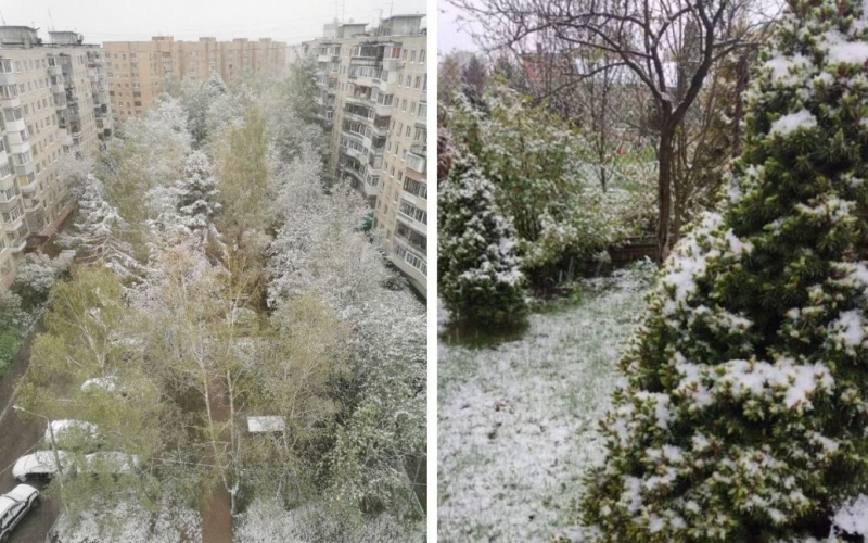 Moskau ist bedeckt mit Schnee und Frost (Foto, Video)“ /></p>
<p><strong>Augenzeugen machten Fotos und Videos von schneebedeckten Baumwipfeln, Hausdächern und Autos.</strong></p>
<p>In Moskau fiel in der Nacht zum 7. Mai Schnee in der Region Moskau. Die Lufttemperatur sank auf -0,4 Grad.</p>
<p>Russische Massenmedien und Telegrammkanäle berichten darüber.</p>
<p>Alle Moskauer Wetterstationen verzeichneten in der Nacht des 7. Mai Schnee. Und die Temperatur in der russischen Hauptstadt und der Region Moskau sei auf -0,4 Grad gesunken, sagte Evgeniy Tyshkovets, Meteorologe am Phobos-Zentrum.</p>
<p>Am Morgen ist es in Moskau bewölkt, und jetzt regnet es .</p>
<p>Von Meteorologen zufolge wird es in Moskau auch am 7. Mai ein solches Nicht-Mai-Wetter geben: In einigen Gebieten wird nasser Schnee fallen und die Lufttemperatur wird +6 Grad nicht überschreiten.</p>
<p>Es wird berichtet, dass der starke Kälteeinbruch sowie Schnee und Regen den Verkehr in der Region nicht beeinträchtigten: Elektrische Züge am Moskauer Drehkreuz verkehren regelmäßig, es gibt keine Probleme mit Flügen an den Flughäfen Domodedowo und Schukowski.</p>
<p>Bewohner von Moskau und der Region machten Fotos und Videos vom fallenden nassen Schnee sowie von schneebedeckten Baumkronen, Hausdächern und Autos.</p>
<p><u><strong>Lesen Sie die wichtigsten Nachrichten des Tages:</strong></u></p>
<p>Wir möchten Sie daran erinnern, dass dies nicht der erste Schnee in Russland im Mai ist. So waren am 4. Mai einige russische Regionen von starkem Schneefall bedeckt. Mancherorts fiel der Strom aus, der Verkehr auf Schienen und Straßen kam zum Erliegen.</p>
<p><strong><u>Lesen Sie auch:</u></strong></p>
<h4>Ähnliche Themen:</h4>
<p>Weitere Neuigkeiten</p>
<!-- relpost-thumb-wrapper --><div class=