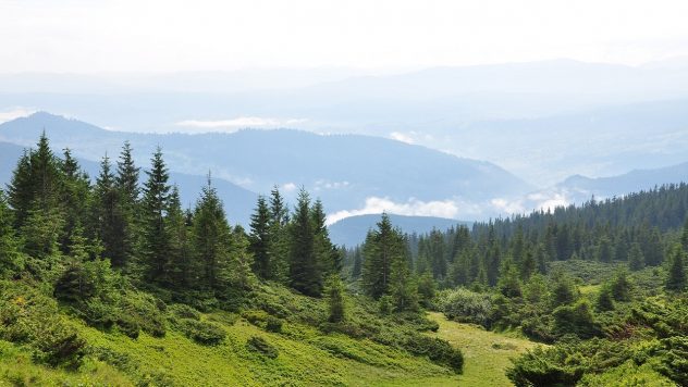 Die Leiche eines Mannes wurde in den Bergen an der Grenze zu Rumänien – Staatsgrenze – gefunden Wachdienst“ /></p>
<p>Am Hang des Mount Pop Ivan Marmaroshsky nahe der Grenze der Ukraine zu Rumänien wurde am Morgen des 9. Juni die Leiche eines Mannes ohne Lebenszeichen gefunden.</p>
<h2>Tod in den Karpaten: Grenzschutzbeamte entdeckten die Leiche eines Mannes am Hang eines Berges</h2>
<p>Dieser Grenzabschnitt wird von Militärpersonal der Grenzschutzabteilung der Grenze Delovoye Mukatschewo kontrolliert Abteilung.</p>
<p>Ein Anwohner berichtete über die schreckliche Entdeckung am Hang des Mount Pop Ivan Marmaroshsky in den Karpaten.</p>
<p>Jetzt beobachten sie </p>
<p>Mitarbeiter des staatlichen Rettungsdienstes arbeiten vor Ort und die Nationale Polizei.</p>
<p>Weitere Details sind nicht bekannt.</p>
</p>
<p>Der Berg Pop Ivan Marmaroshsky liegt im Bezirk Rachiw der Region Transkarpatien, an der Grenze zur Ukraine und Rumänien.</p>
<p> < p>Vom Fluss Theiß an der Grenze zu Rumänien bergen Grenzschutzbeamte auf beiden Seiten häufig die Leichen ertrunkener Menschen, wahrscheinlich Wehrdienstverweigerer, die versucht haben, illegal die Grenze zu überqueren.</p>
<p> Allein im Mai dieses Jahres wurden die Leichen von zehn Ertrunkenen an die Ufer der Theiß gespült.</p>
<p> p> </p>
</p></p>
<!-- relpost-thumb-wrapper --><div class=