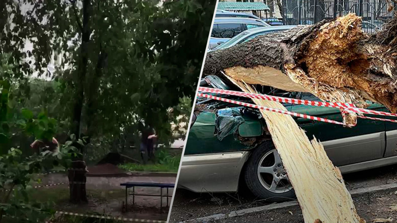 Ein Hurrikan hat Moskau erneut heimgesucht: Der Wind wirft Bäume um