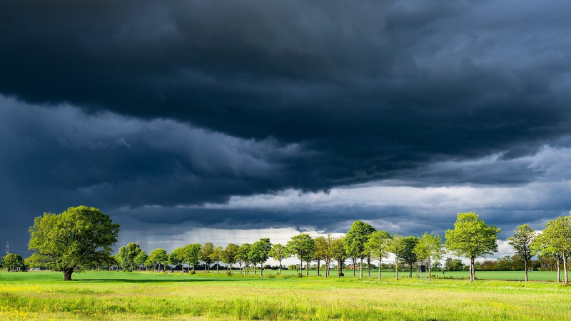 Regen mit Gewittern und Hitze bis +35 °C: Wettervorhersage ab 10. Juni