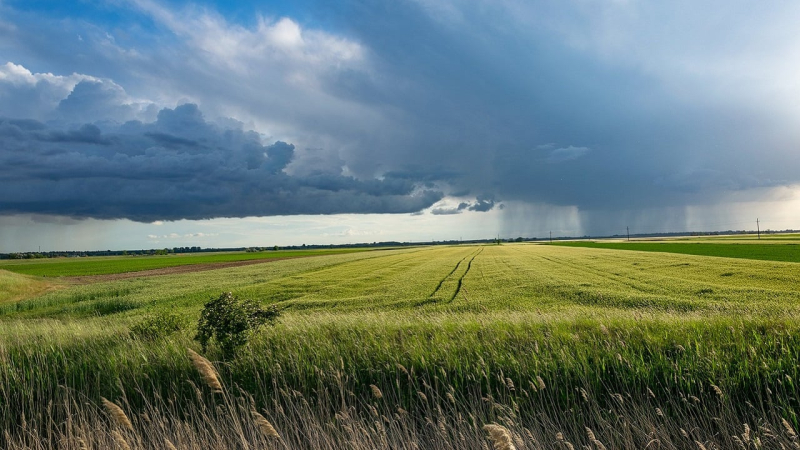 Der Anfang des Monats ist kühl: Welches Wetter wird der August für die Ukrainer bringen