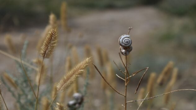 Wann wird die Hitze in der Ukraine enden – Meteorologenvorhersage