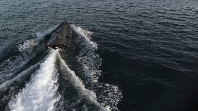 AFU Navy Day: Wie Marinedrohnen den Krieg veränderten und wurde zu ukrainischem Know-how 