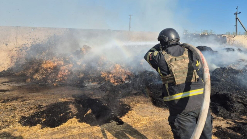 Angriffe in der Region Charkow, Abschluss des NATO-Gipfels, Brand in Chimki bei Moskau: Nachrichten vom 11. Juli 