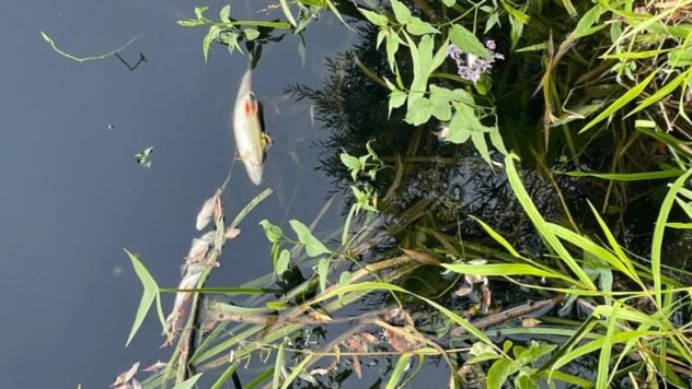 Das Ministerium für natürliche Ressourcen versucht zu verhindern, dass schmutziges Wasser aus dem Fluss Seim nach Kiew gelangt Wassereinlass“ /> </p>
<p>Die Verschmutzung des Seim-Flusses, der in die Desna mündet, ist ein außergewöhnliches Ereignis, und deshalb darf verseuchtes Wasser nicht in den Wassereinlass von Kiew gelangen.</p>
<p> < p>Dies erklärte der Minister für Umweltschutz in einem Kommentar gegenüber Ukrinform und natürliche Ressourcen Ruslan Strelets.</p>
<h2>Verschmutzung des Seim-Flusses: eine Bedrohung für Kiew</h2>
<blockquote>
<p>&#8212 ; Verschmutzte Gewässer bewegen sich mit einer Geschwindigkeit von 20–25 km pro Tag. Wir tun unser Bestes, um sicherzustellen, dass sie nicht in die Trinkwasserversorgung Kiews gelangen. Das ist unsere Hauptaufgabe. Deshalb werden wir am 5. und 6. September sehen, ob die Maßnahmen, die wir derzeit ergreifen, funktionieren — sagte er.</p>
</blockquote>
<p>Laut dem Minister ist die Verschmutzung des Seim-Flusses ein außergewöhnliches Ereignis, weshalb täglich Wasserproben für Forschungszwecke entnommen werden.</p>
<p>Derzeit beobachtet </p>
<p>Darüber hinaus sucht die Regierung nach besseren Methoden zur Bekämpfung der Umweltverschmutzung.</p>
<blockquote>
<p>— In den letzten Tagen wurden in diesen beiden Tagen mehr als 50 Proben hergestellt; 28 weitere kontaminierte Wasserproben werden kontinuierlich für Laborforschung und Tests gesammelt, um bessere Lösungen zu finden. Deshalb wurden gestern Proben genommen, damit Spezialisten der Wasseraufbereitungsanlage (wo sich die Trinkwasserentnahmestellen befinden) herausfinden können, ob sie mit der Verschmutzung zurechtkommen, wenn sie dort ankommen. Das heißt, wir tun alles, was wir können, um es präventiv zu verhindern, — sagte Strelets.</p>
</blockquote>
<p>Der Minister erinnerte daran, dass am 29. August eine Sitzung der Staatskommission für technogen-ökologische Sicherheit und Notsituationen abgehalten wurde, bei der eine Reihe von Entscheidungen zur Lösung des Problems getroffen wurden Problem. Unter ihnen waren<strong>Maßnahmen zur Belüftung (Luftanreicherung), Absorption, Übertragung zusätzlicher Wassermengen sowie Sammlung toter Fische, um deren Tod weiter zu verhindern</strong>.</p>
<p>Nach Angaben des Beamten handelt es sich bei all diesen Maßnahmen um Maßnahmen finden bereits statt. Beispielsweise begann am Morgen des 30. August das Einbringen von Absorptionsmitteln in das Wasser und die Einführung einer künstlichen Belüftung.</p>
<blockquote>
<p>— Wir werden am Montag verstehen, wie effektiv diese Veranstaltung sein wird. Denn es braucht Zeit, bis die Bakterien ihre Wirkung entfalten — sagte er.</p>
</blockquote>
<p>Der Leiter des Ministeriums für natürliche Ressourcen fügt hinzu, dass die Substanz, die die Verschmutzung verursacht hat, organischen Ursprungs ist.</p>
<p>Jetzt die Kräfte des staatlichen Rettungsdienstes , die staatliche Umweltinspektion und der öffentliche Dienst waren an der Beseitigung des Problems in Fragen der Lebensmittelsicherheit und des Verbraucherschutzes beteiligt, die staatliche Fischereipatrouille und die örtlichen Behörden.</p>
<p>Wir möchten Sie daran erinnern, dass die Sumy Die Regionalverwaltung berichtete, dass aufgrund der Verschmutzung des Seim-Flusses in der Region Sumy keine Krankheiten in der Bevölkerung aufgetreten seien.</p>
<p >Die Vergiftung des Seim-Flusses wurde erstmals am 28. August öffentlich bekannt. Dann wurde ein massives Fischsterben im Fluss entdeckt.</p>
</p></p>
<!-- relpost-thumb-wrapper --><div class=