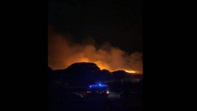 Waldbrand in Frankreich: Das Feuer breitete sich schnell auf den Campingplatz aus, Tausende Menschen wurden evakuiert