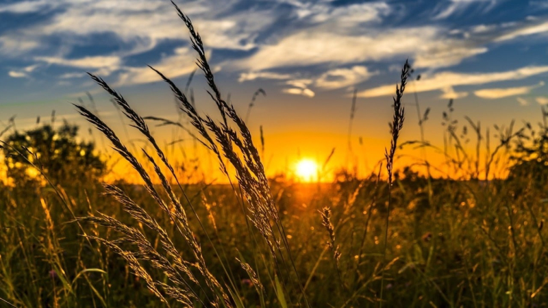 Wetter in der Ukraine für 5 Tage: Bei welchen Temperaturen beginnt der Herbst