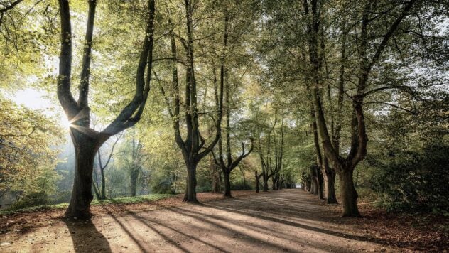 Wetter in der Ukraine für 5 Tage: Bei welchen Temperaturen beginnt der Herbst