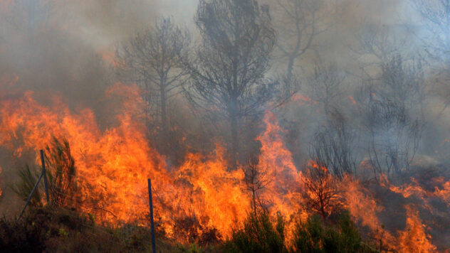 In der Region Charkow wütet ein großer Waldbrand: 200 Menschen wurden evakuiert