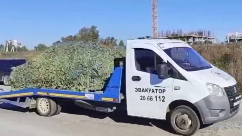 Sie organisierten Schüchterne in der Ukraine: In Jekaterinburg explodierten GUR-Agenten Kriegsverbrecher“ /></p >Foto: GUR MO</p>
<p><img decoding=