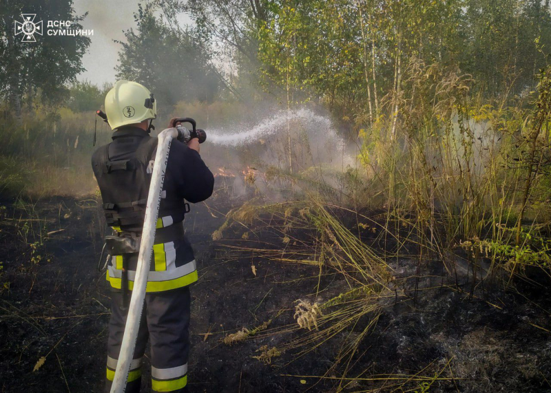 Ankunft in russischen Lagerhäusern in Mariupol und Explosionen in Saporoschje: Ereignisse in der Nacht des 13. September