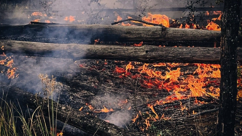 Seit drei Tagen brennt ein Wald in der Tschernobyl-Zone: Die Flammen haben Hunderte Hektar erfasst