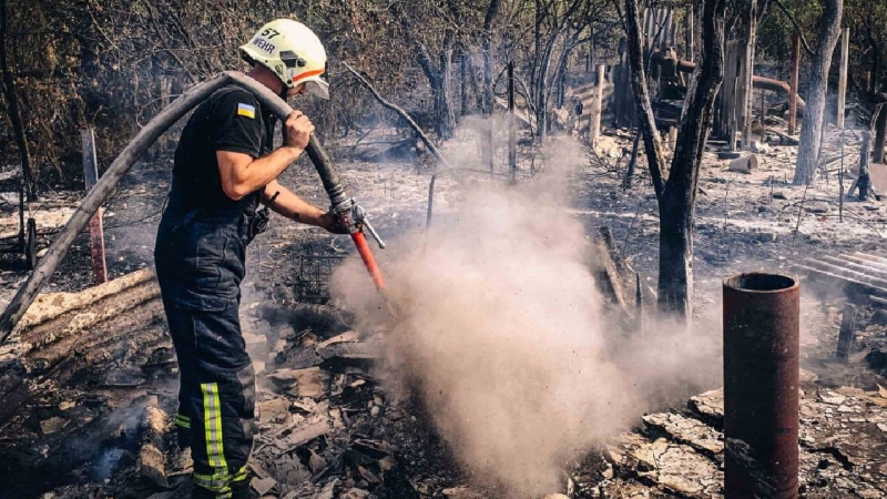 Seit drei Tagen brennt ein Wald in der Tschernobyl-Zone: Die Flammen haben Hunderte Hektar erfasst