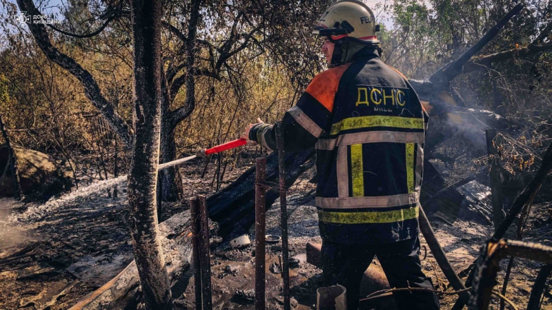 In der Tschernobyl-Zone brennt seit drei Tagen ein Wald: Die Flammen haben Hunderte Hektar erfasst