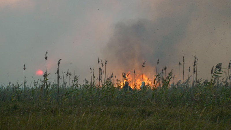 Brennungen in der Nähe von Kiew, Liman und Poltawa: Was ist über Großbrände in der Ukraine bekannt