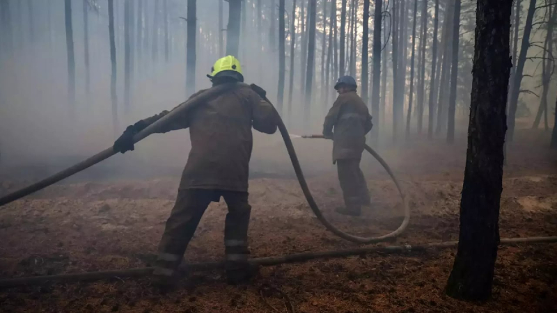 Ein Waldbrand in der Region Poltawa hat 700 Hektar bedeckt, Menschen werden evakuiert“ /></p>
<p>Foto: DSNS</p>
<p><img decoding=