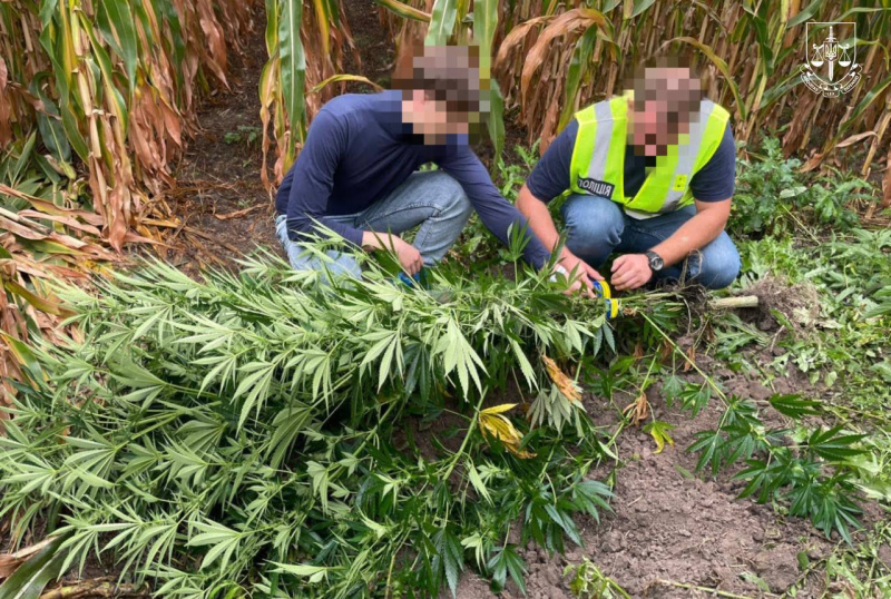 Mehr als 200 Suchanfragen: a In der Ukraine wurde eine Sonderoperation durchgeführt, um den Verkauf von Waffen und Drogen aufzudecken“/></p>
<p>Foto: Büro des Generalstaatsanwalts</p>
<p><img decoding=