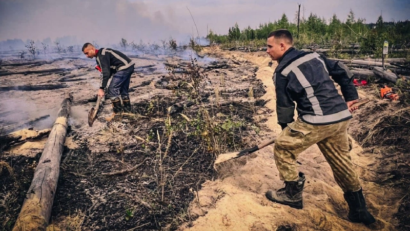 Ein Wald brennt seit drei Tagen in der Tschernobyl-Zone: Die Flammen haben Hunderte von Häusern besetzt Hektar