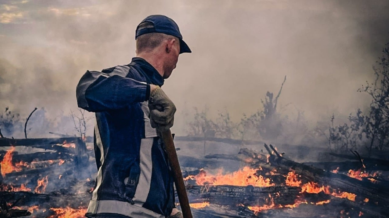 Seit drei Tagen brennt ein Wald in der Tschernobyl-Zone: der Flammen haben Hunderte Hektar erfasst“ /></p>
<p> <img decoding=