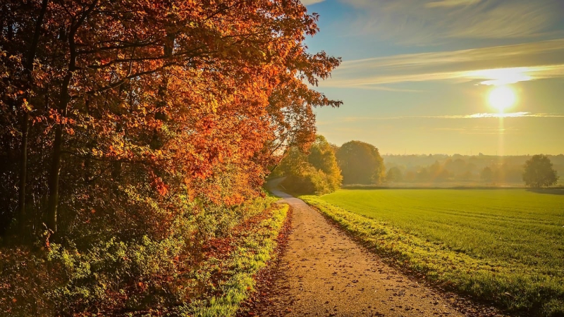 Will Bis Ende September wird es Frost geben: Wettervorhersage für nächste Woche“ /></p>
<p id=