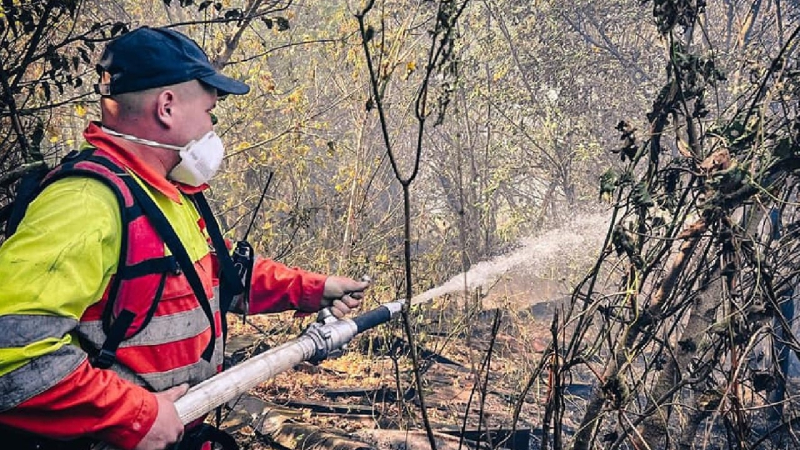 In der Tschernobyl-Zone brennt seit drei Tage: Die Flammen haben Hunderte Hektar erfasst“ /></p >DSNS</p>
<p><img decoding=