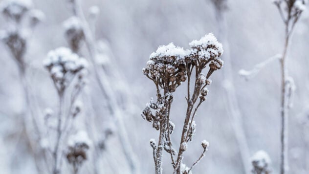 Durchschnittliche Wintertemperatur in der Ukraine: Vorhersagen des Ukrainischen Hydrometeorologischen Zentrums