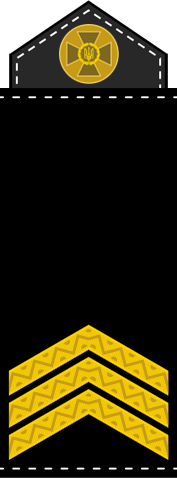 Vom Soldaten zum General: Welche militärischen Ränge haben die Streitkräfte der Ukraine?“ /></p ></p>
<p>Senior:</p>
<ul>
<li>Chef Sergeant Major;</li>
</ul>
<p><p><img decoding=