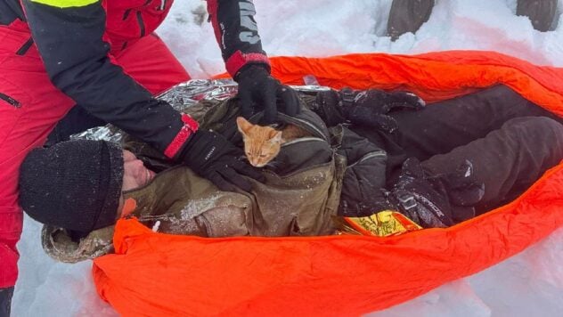 Ein Ukrainer mit einem Kätzchen wurde in Rumänien gerettet: Er floh vor der Mobilisierung