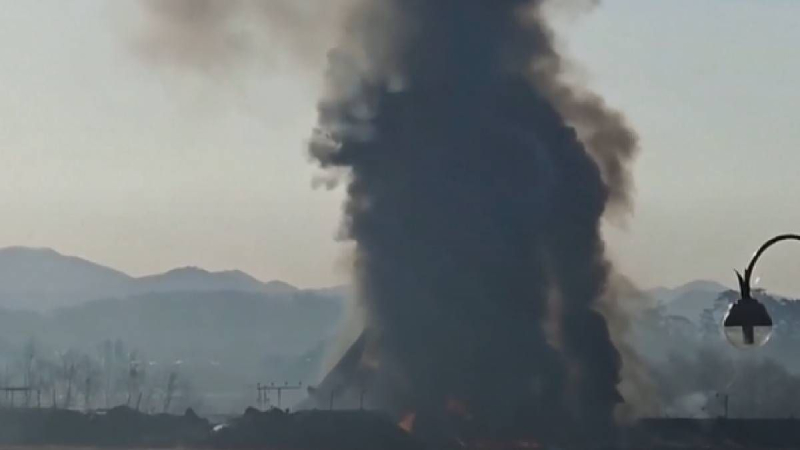 Ein Flügelschlag und eine Reihe von Explosionen: Augenzeugen sprachen über die letzten Minuten des Flugzeugs in Südkorea