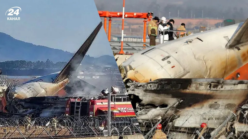 Flugzeugabsturz in Südkorea: Fluglotsen warnten das Flugzeug vor der Gefahr einer Vogelkollision