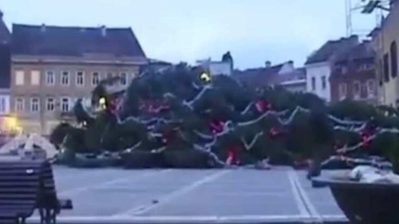 Der höchste Weihnachtsbaum des Landes ist in Rumänien gefallen: episches Video